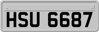 HSU6687