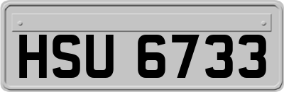 HSU6733