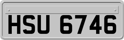 HSU6746