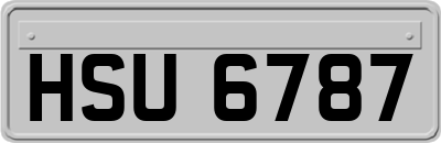 HSU6787