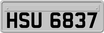 HSU6837