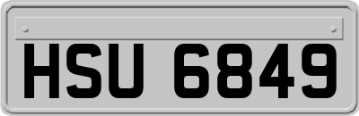 HSU6849