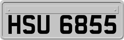 HSU6855