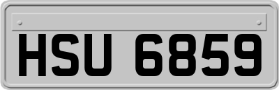 HSU6859