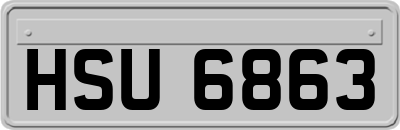 HSU6863