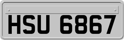 HSU6867