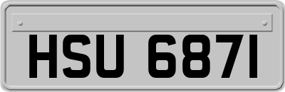 HSU6871