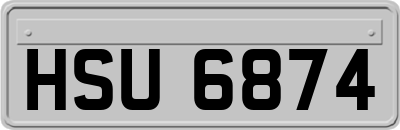 HSU6874
