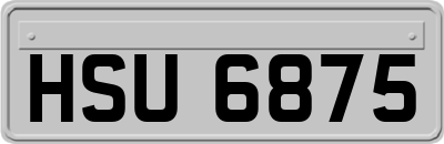 HSU6875