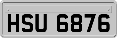 HSU6876