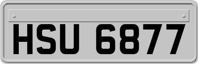 HSU6877