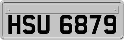 HSU6879