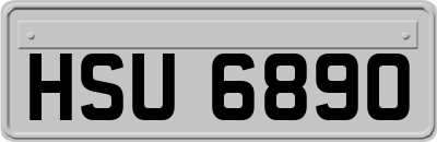 HSU6890