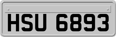 HSU6893
