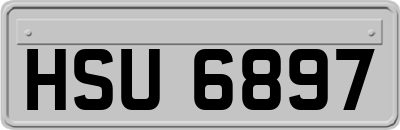 HSU6897