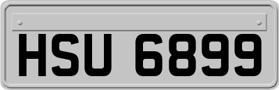 HSU6899