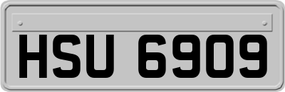 HSU6909