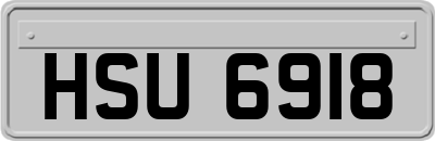 HSU6918