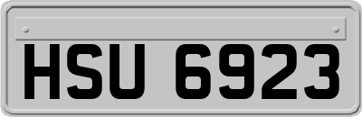 HSU6923