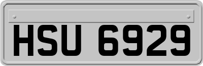 HSU6929