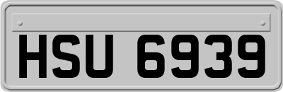 HSU6939