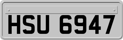 HSU6947