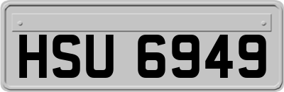 HSU6949