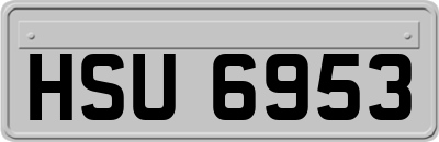 HSU6953