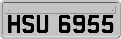 HSU6955