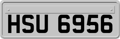 HSU6956