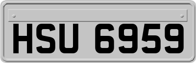 HSU6959