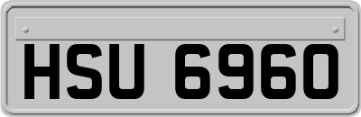 HSU6960