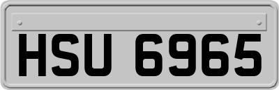 HSU6965