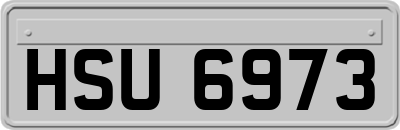 HSU6973