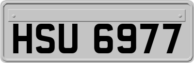 HSU6977