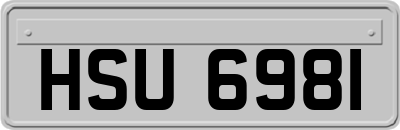 HSU6981