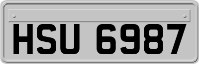 HSU6987