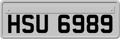 HSU6989