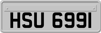 HSU6991