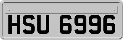 HSU6996