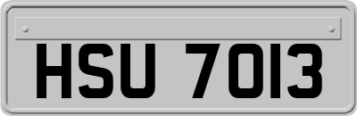 HSU7013