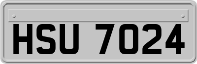 HSU7024