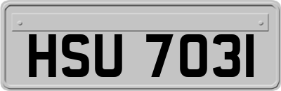HSU7031