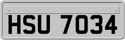 HSU7034