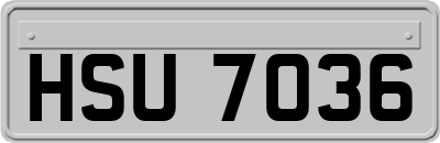 HSU7036