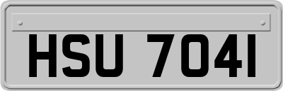 HSU7041