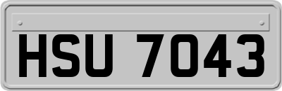 HSU7043