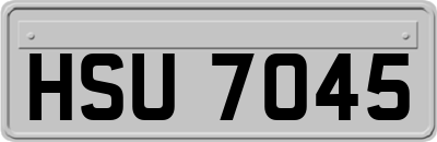 HSU7045