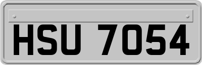 HSU7054