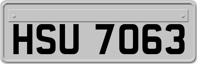 HSU7063